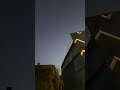 Таких птиц мы не ожидали