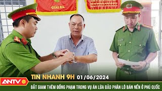 Tin nhanh 9h ngày 1/6: Bắt giam thêm đồng phạm trong vụ án lừa đảo phân lô bán nền ở Phú Quốc | ANTV