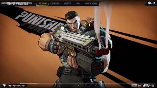 Hero spotlight Punisher