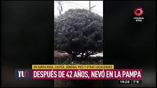 Después de 42 años nevó en La Pampa