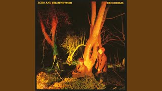 Video thumbnail of "Echo & the Bunnymen - Crocodiles"