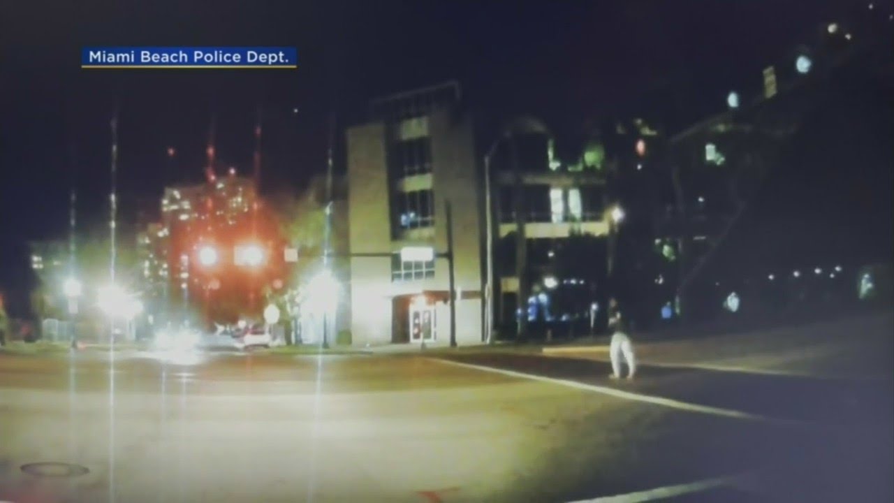Deadly Miami Beach Hit And Hit, Police Searching For Driver - YouTube