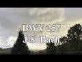 BWV 257 - J.S. Bach