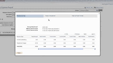 PeopleSoft Expenses 9.2 User Interface