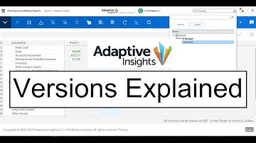 Versions Explained in Adaptive Insights