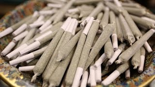 Inside the Consumer Experience in Colorado | Weed Revolution