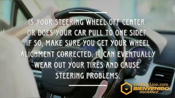 Bienvenido Insurance @thesafelion.com Auto Insurance