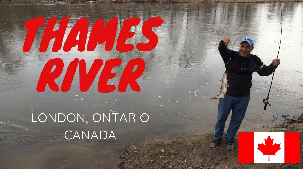 Thames River Fishing Pescaria no Thames River. YouTube