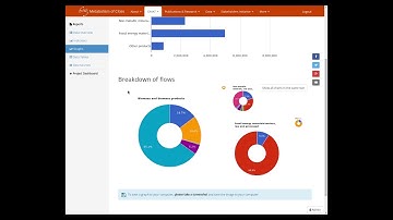 Online Material flow Analysis Tool   Tutorial Part 4