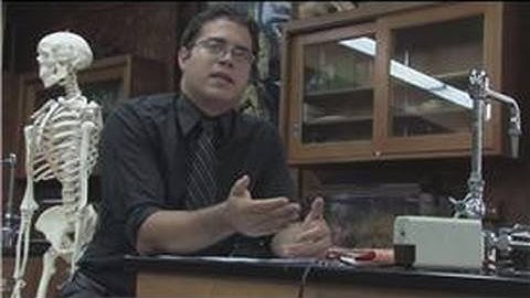 Science Questions : What Is a Particle Accelerator?