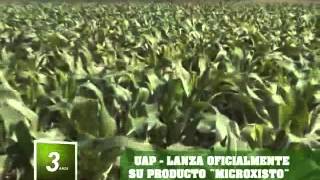 ECO RURAL TV - UAP LANZA OFICIALMENTE "MICROXISTO"