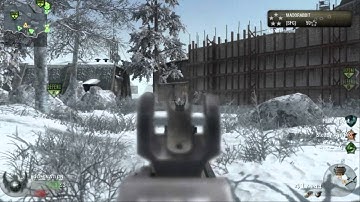 G11 on Array HD CoD:BO All Primary Weapons