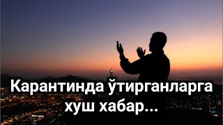 Карантинда ўтирганларга хуш хабар...