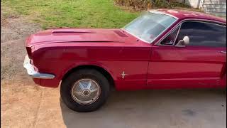 1966 Mustang Fastback T code code sale HB mustangs