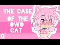 The case of the OwO cat: Nature Documentary