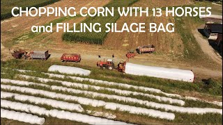 OLD ORDER AMISH Harvesting Corn with HORSES and FILLING SILAGE BAGS