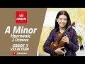 ABRSM : Grade 3 | A Minor Harmonic - 2 Octaves | Scale & Arpeggio | Violin Exam