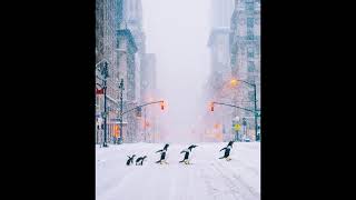 John Foxx &amp; Harold Budd Featuring Ruben Garcia - When the City Stops For Snow (Edit)