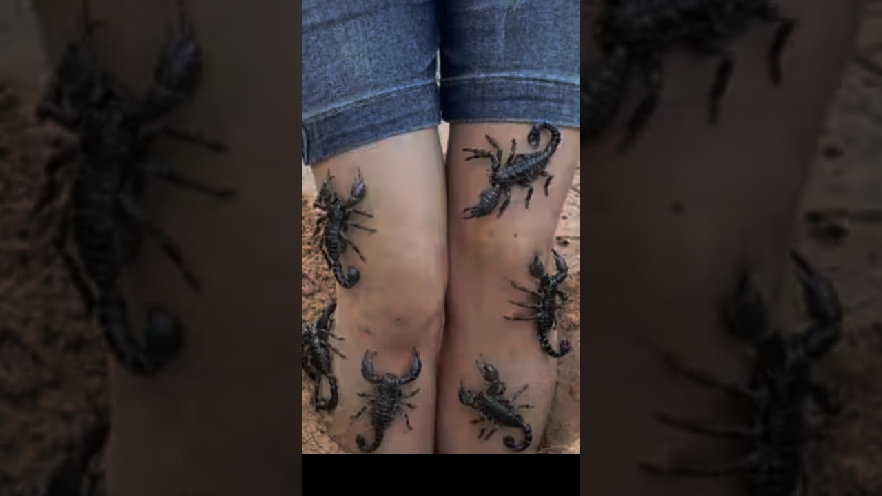 Bushcraft Skills: Simple and very usefull 