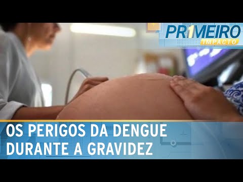 Video dengue-na-gravidez-pode-ser-ate-4x-mais-letal-alertam-especialistas-primeiro-impacto-22-02-24