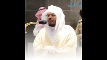 بسكينة و خشوع رهيب _ تلاوة 🔊 رائعة للشيخ ياسر الدوسري من سورة النمل✨" فتَبَسمَ ضاحكا مِنْ قولِها " .