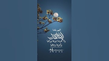 اللهم بلغنا ليله القدر سوره القدر