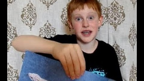 Hognose Snake Morphs...Everything You Need to Know