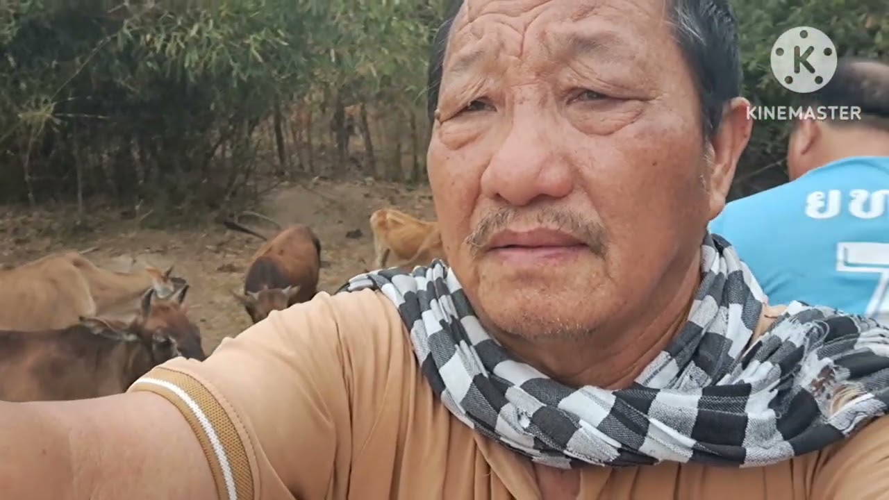 24 ກຸມພາ 2026