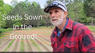 Direct Sow SEEDS? What Did We Plant in the GROUND? | BONUS: Fruit Tree Tour