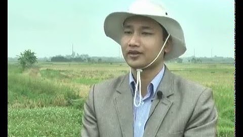 Hướng dẫn biện pháp diệt chuột bảo vệ sản xuất vụ Đông Xuân 2015-2016.