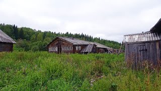 видео: Заброшенная деревня Ларькино время здесь остановилось. Покинутые дома в лесу на реке Мезенская Пижма картинка: Заброшенная деревня Ларькино время здесь остановилось. Покинутые дома в лесу на реке Мезенская Пижма