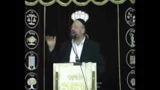 ״קְצָרִים״ - ״תָּמִים תִּהְיֶה עִם ה' אֱלֹהֶיךָ״