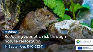 Webinar: Reducing zoonotic risk through nature restoration