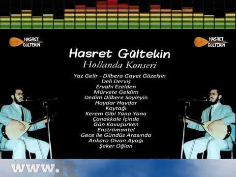 Hasret Gültekin Mürvete