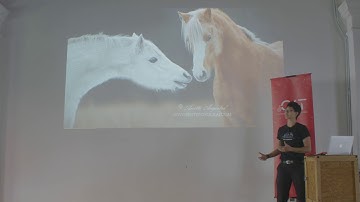 Mozilla Developer Roadshow Asia: Hui Jing Chen on CSS Grid