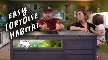EASY, SIMPLE Tortoise Habitat (BONUS VIDEO)