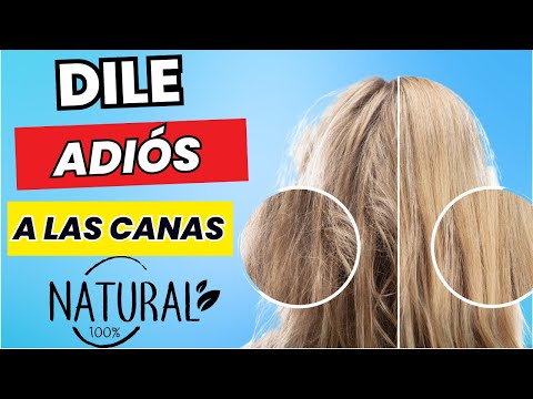 El SECRETO para
