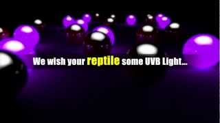 Happy New Year From Exo Terra