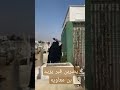 شاهد نساء الشيعه يضربن قبر يزيد بن معاويه
