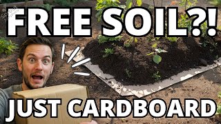 The Cardboard Hack That Lets You Build Massive Soil Beds for Free