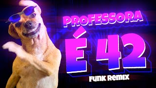 PROFESSORA É 42 - 10+10+20+2 AÍ É MUITO FÁCIL PROFESSORA É 42 (Funk Remix) DJ Igor do Am 