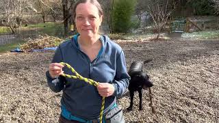 Storing Your Leash Belay with a Daisy Chain | Best New Dog Walking Gear screenshot 4
