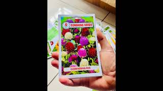 sunshine flower 🌺🌺🌹 seeds for all sessions