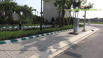 Tham quan công trình trồng cây của Công ty Cây Xanh Gia Nguyễn (P3)