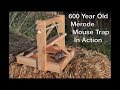 600 year old style merode mouse trap in action best trigger system i have ever tested