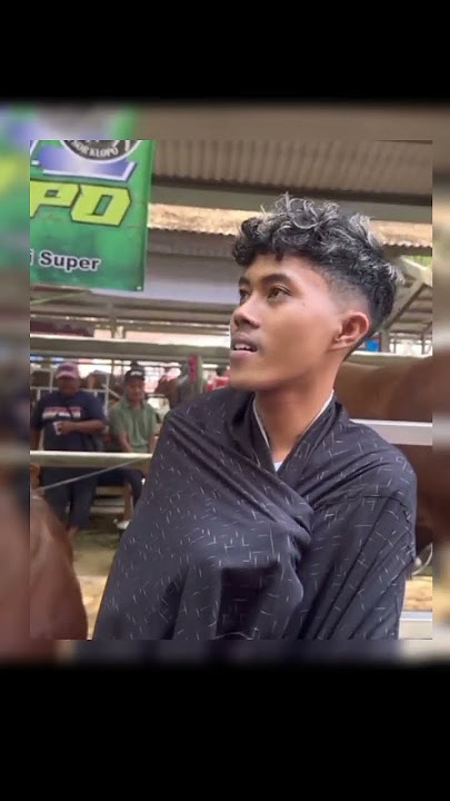 Mas iyun menghadiri kontes sapi