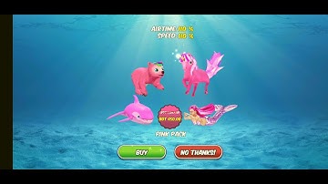 My dolphin show part 1