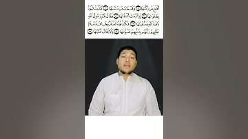 #سورة_الشمس | القارئ :تامر فاروق