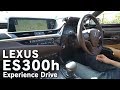 新型レクサスESバージョンL安定感と安心感は自室にいる時の心地よさに比類する - LEXUS ES-