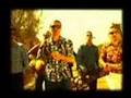 Radici nel Cemento feat. Roy Paci - 